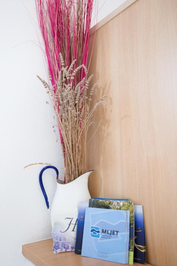 פומנה Guesthouse Sanela מראה חיצוני תמונה